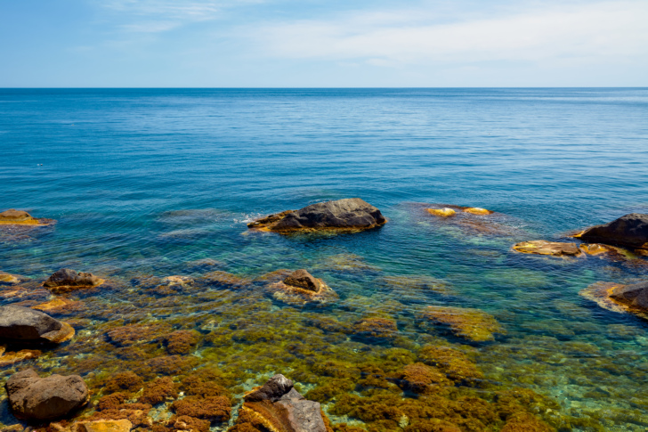 Вид на морское побережье Алупки в Крыму.