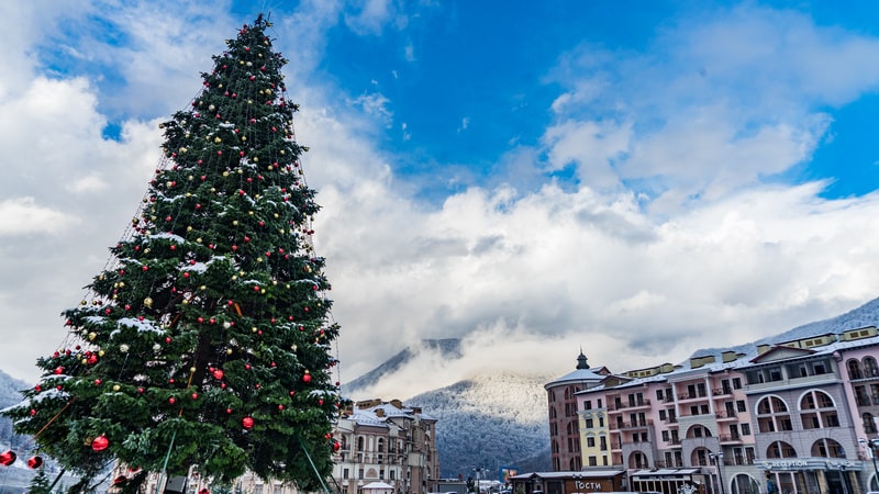 Новогодний отдых в Сочи