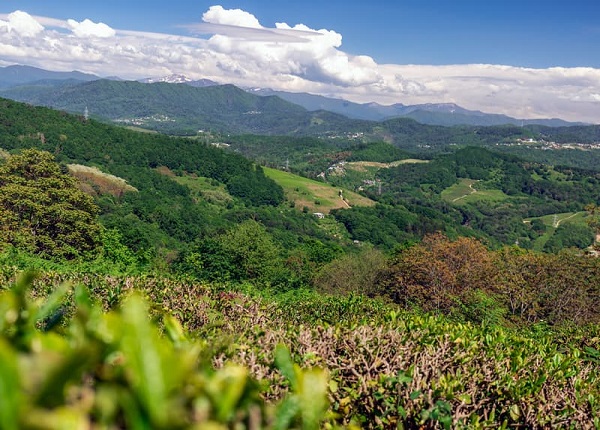 межсезонье в Адлере