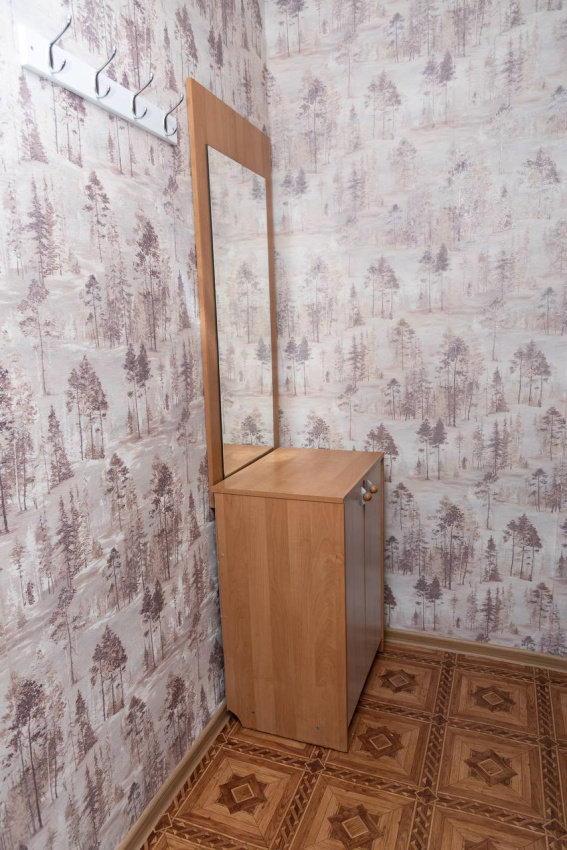 1-комнатная квартира Дубровинского 62 в Красноярске - фото 4