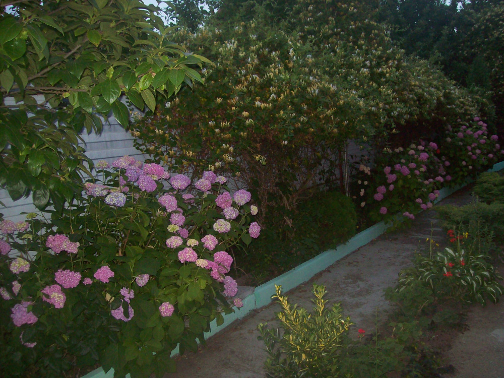 "Зелёный дворик" дом под-ключ в Тульском - фото 15
