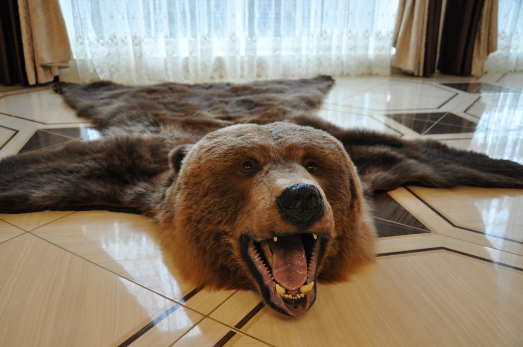 "Вилла Медведь" мини-отель в Калининграде - фото 4