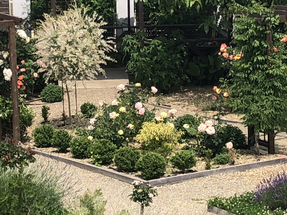 "Grand Camellia" гостевой дом в Кучугурах - фото 2