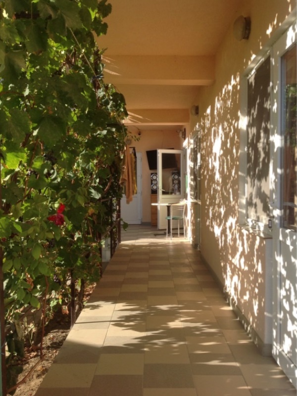 "Кипарис" гостиница в Судаке - фото 15