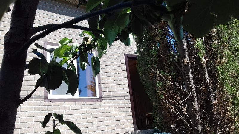 3х-комнатный дом под-ключ Шелковичная 16 в Орджоникидзе (Феодосия) - фото 2