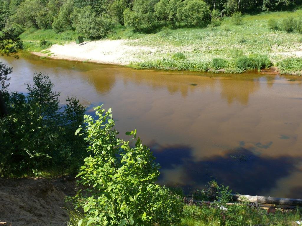 "Смольки" пансионат в с. Смольки (Городец) - фото 5