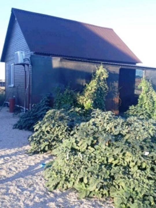 "Уютный домик" дом под-ключ в Должанской - фото 1