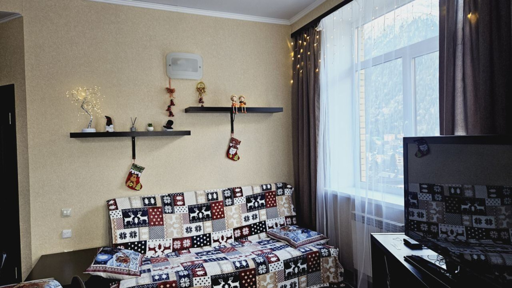 3х-комнатная квартира Карачаевская 60 в Домбае - фото 8