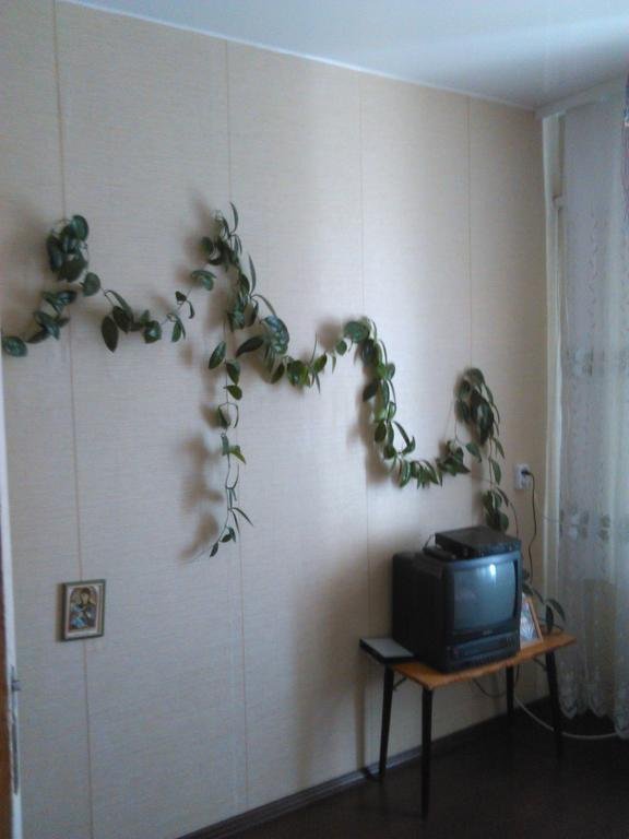 "В помощь туристам" гостевой дом в Пскове - фото 9
