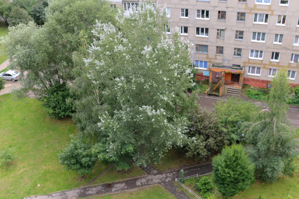 1-комнатная квартира Гайдара 113 в Калининграде - фото 15
