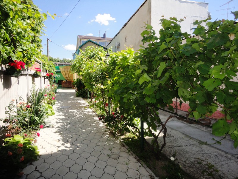"Старый дворик" гостевой дом в Анапе, ул. Тургенева, 46/а - фото 3