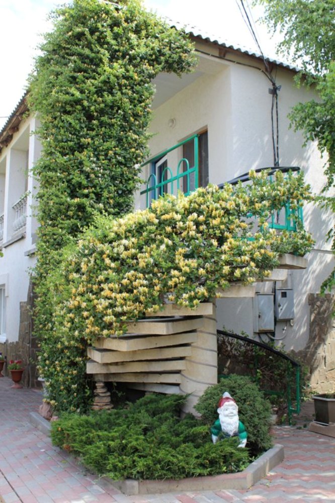 "Солнечная Орхидея" гостевой дом в Николаевке, ул. Солнечная, 3 - фото 12
