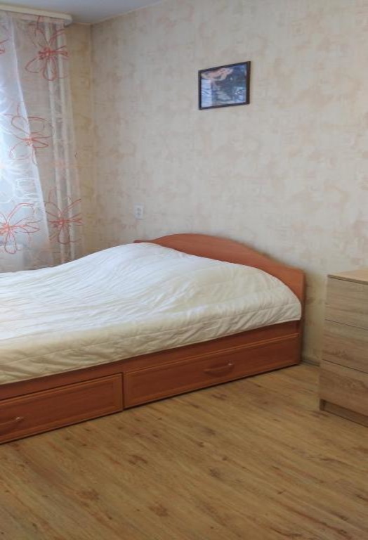 "Квартира на Плющихе" 1-комнатная квартира в Новосибирске - фото 1