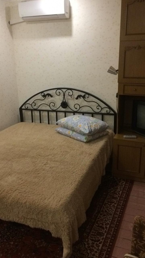 1-комнатная квартира "Лайм" Севастопольская 13 в Новофедоровке - фото 5