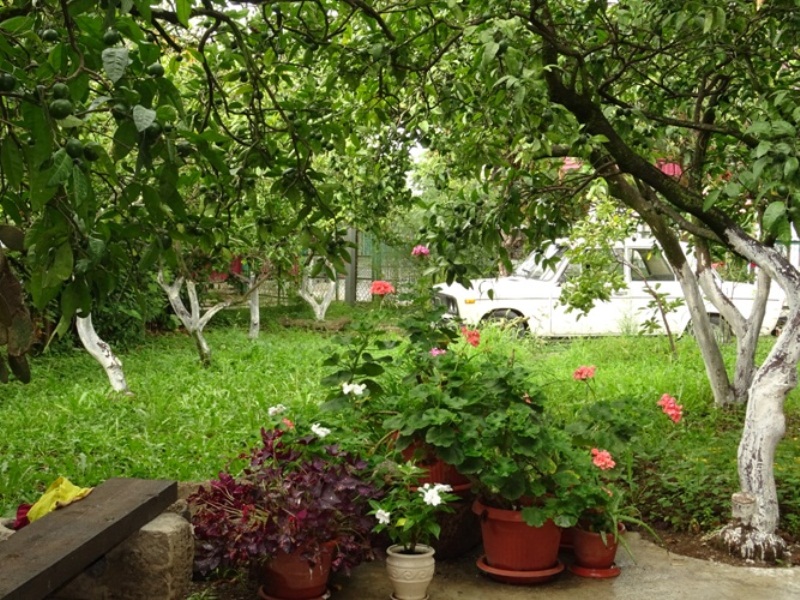 "Зелёный дворик" частный сектор в Гаграх - фото 5