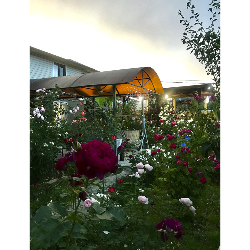 "Роза" гостевой дом в Сухуме - фото 2