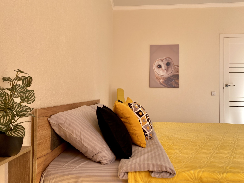 "Желтая Сова" 1-комнатная квартира в Калининграде - фото 2
