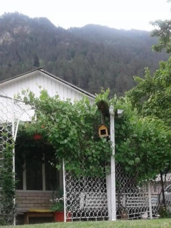 "Отдых в горах" гостевой дом в Теберде - фото 1