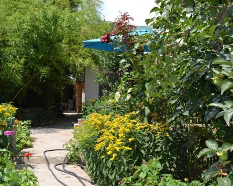 "Бамбуковый дворик" частный сектор в Алуште - фото 1