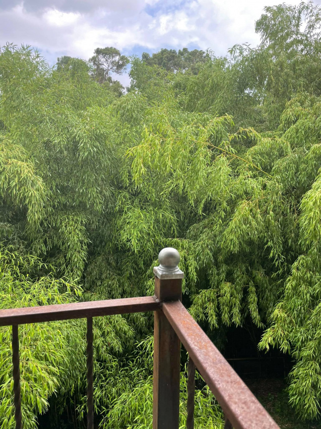"Бамбуковый рай" дом под-ключ в Сухуме - фото 3