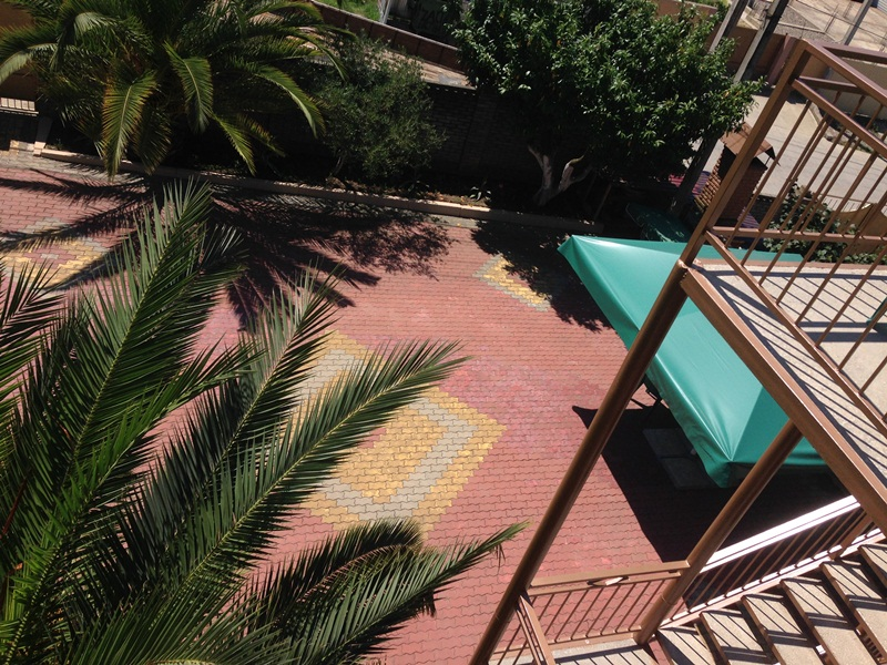 "Пальмовый двор" мини-гостиница в Адлере - фото 13