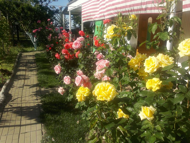 "Роза" гостевой дом в п. Пересыпь - фото 13