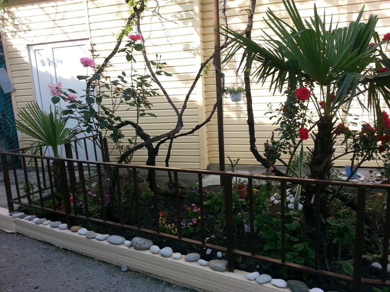 "Орхидея" гостевой дом в Гаграх, ул. Кольцевая, 7 - фото 1