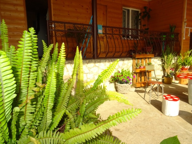 "Диоскурия" гостевой дом в Сухуме - фото 7