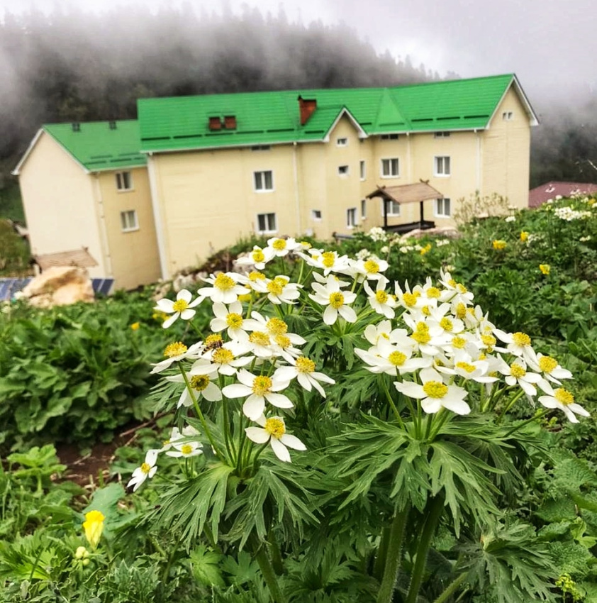 "Седьмое Небо" гостиница в Лаго-Наки  - фото 3