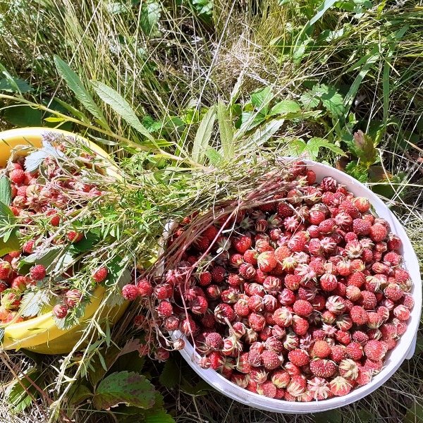 "На озере Камбулат" дом под-ключ в д. Камбулат (Чебаркуль) - фото 14