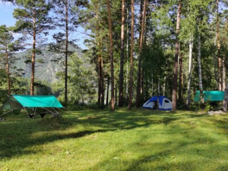"Forest Camp Altay" кемпинг в п. Барангол - фото 3
