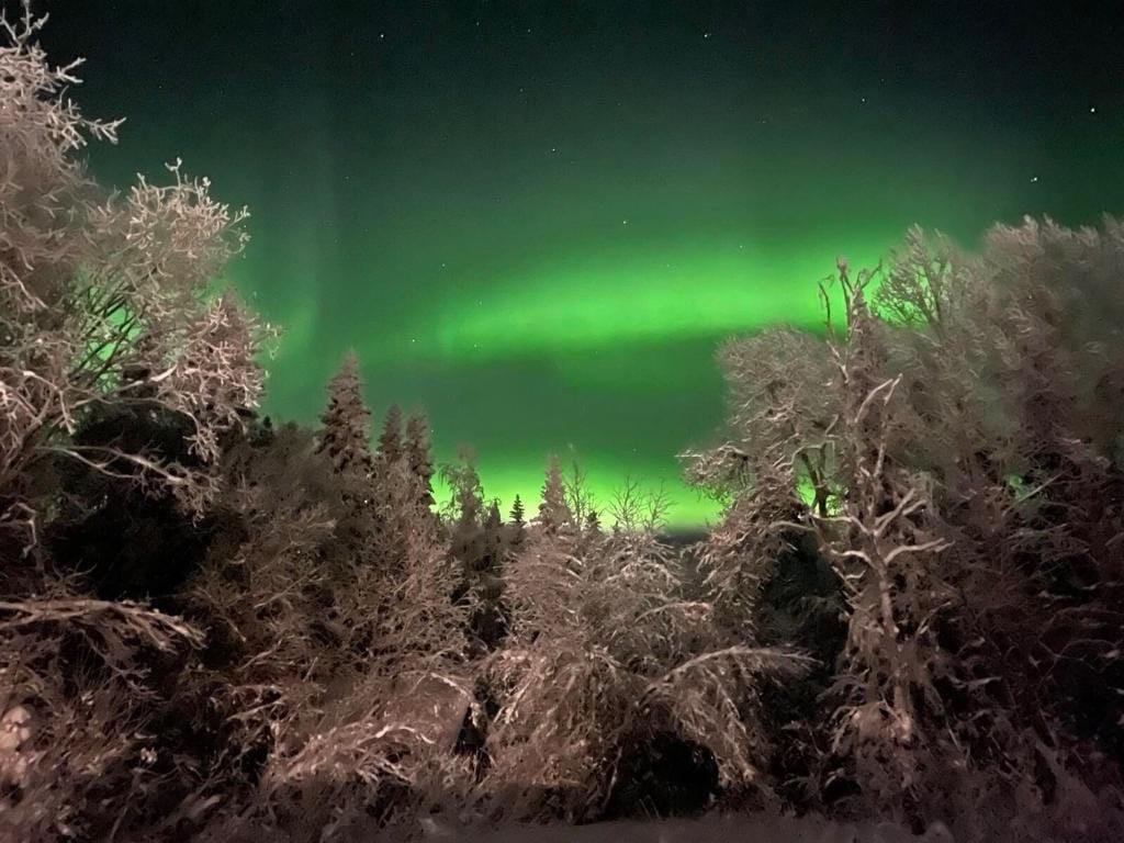 "БобровоЭкоЛайф" база отдыха в Архангельске - фото 3