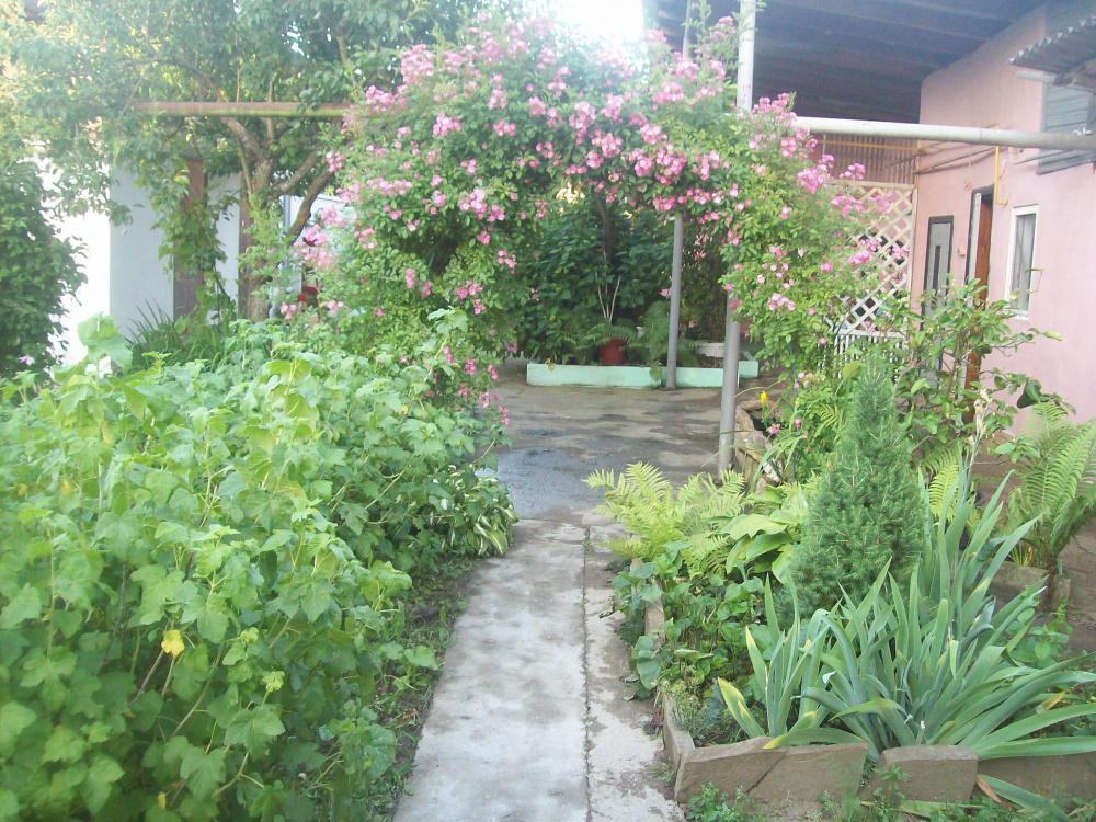 "Зелёный дворик" дом под-ключ в Тульском - фото 7