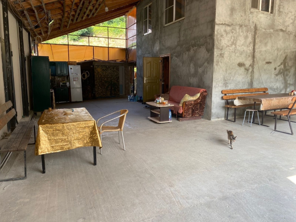 "Мимоза" гостевой дом в Лдзаа (Пицунда) - фото 15