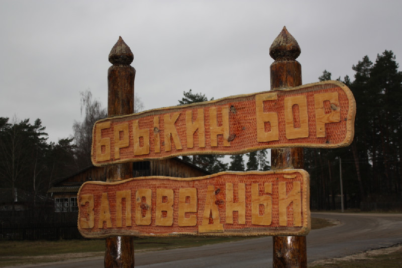 "Никита" база отдыха в п. Спасск-Рязаснкий (Рязань) - фото 14