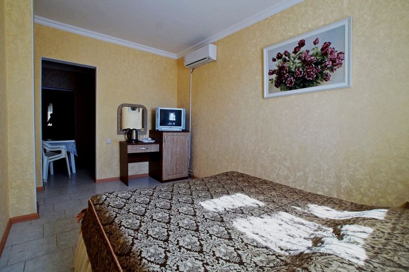 "Сибирь" гостиница в Анапе - фото 35