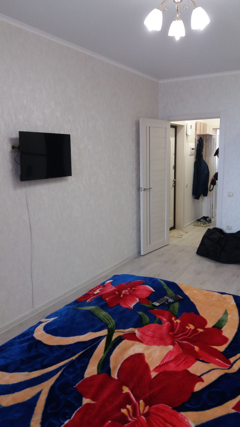 1-комнатная квартира Таманская 121к14 в Анапе - фото 5