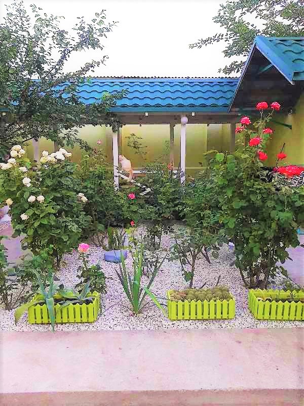 "Зеленый дворик" мини-гостиница в Евпатории - фото 1