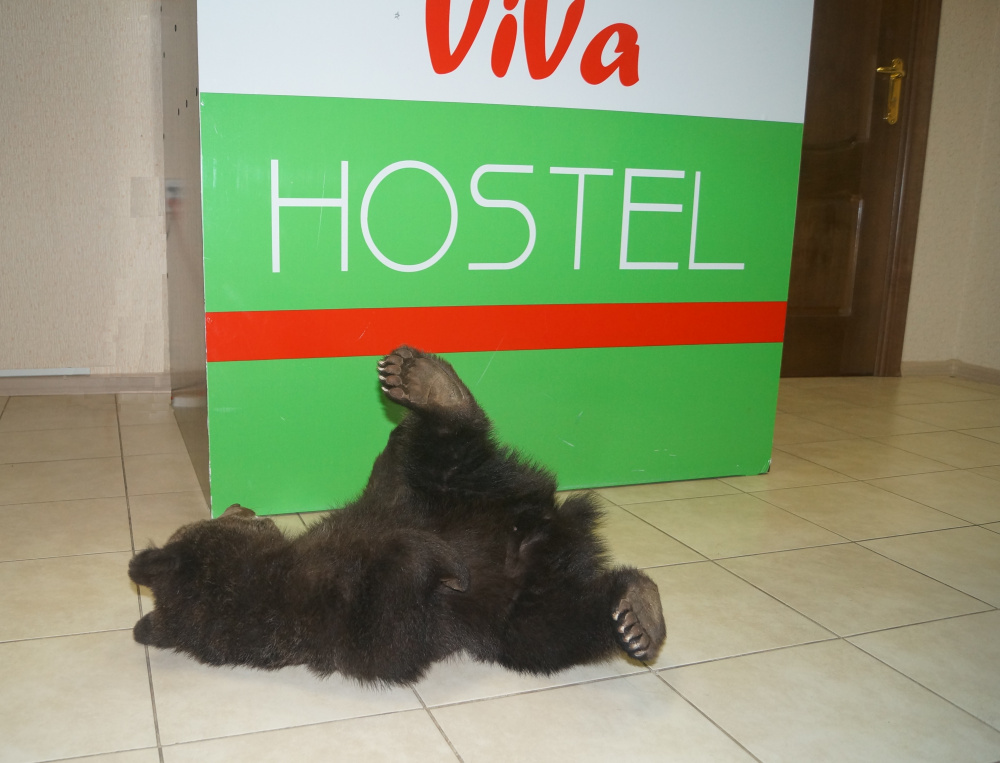 "VIVA Hostel" хостел в Иркутске - фото 3