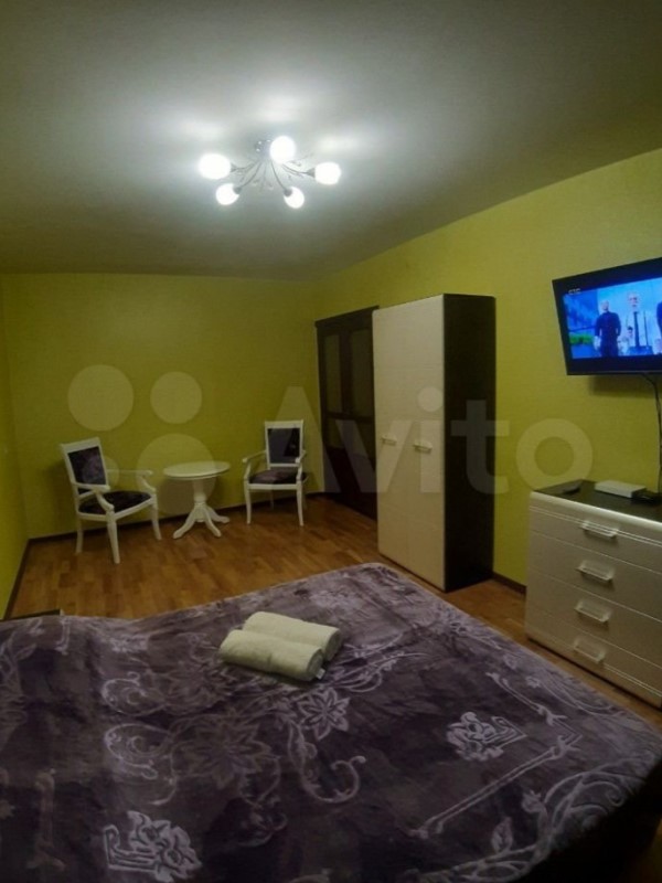 1-комнатная квартира Шоссейная 113 в Ессентуках - фото 3