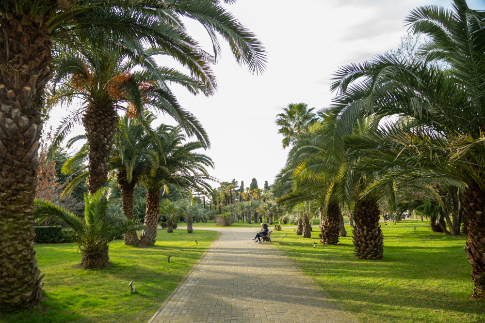 "Sochi Gallery Park" гостиница в Сочи - фото 11