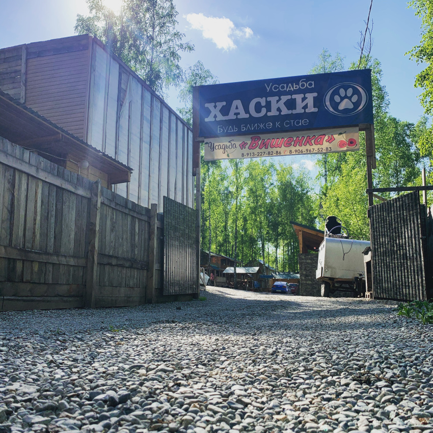 "Хаски" база отдыха в п. Катунь (Горно-Алтайск) - фото 8