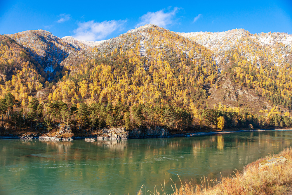 "Усадьба Любо-Дорого" гостевой дом в Чемале - фото 4