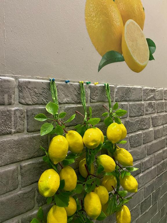 "Лимон" хостел в Санкт-Петербурге - фото 9