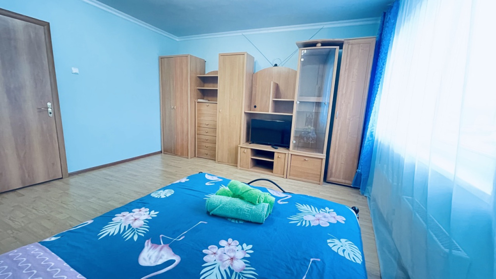 1-комнатная квартира Дмитриева 4 в Балашихе - фото 2