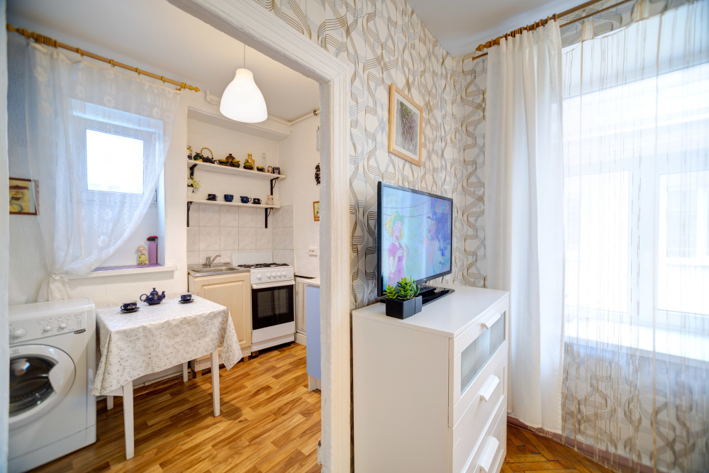 1-комнатная квартира Садовая 48 в Санкт-Петербурге - фото 3