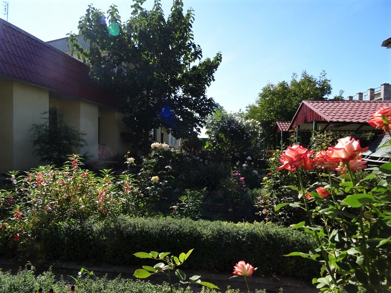 "Солнечный берег" гостевой дом в Николаевке - фото 6