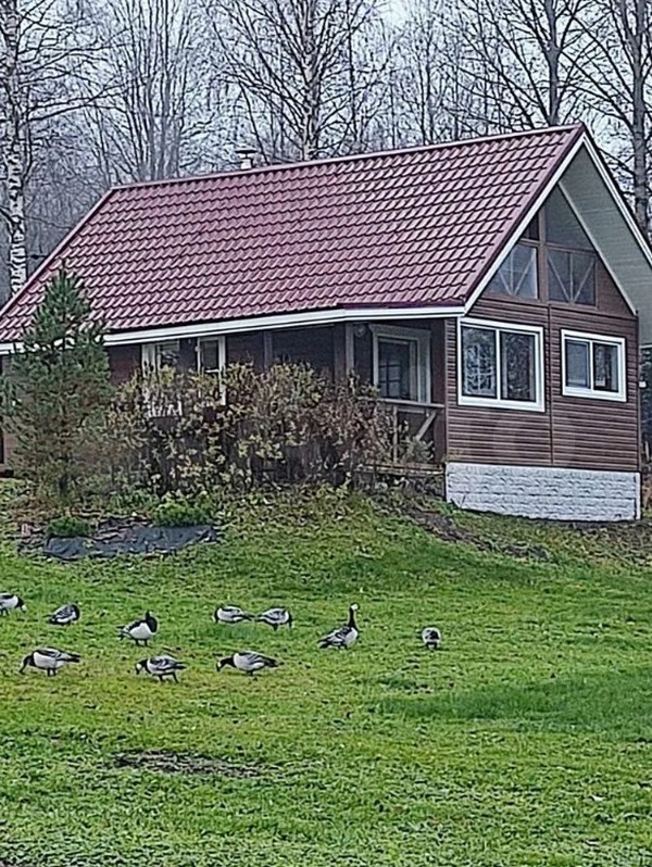 "Свой Берег" дом под-ключ в с. Кончезеро (Кондопога) - фото 5