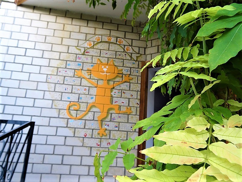 "Солнечный кот" гостевой дом в п. Малореченское (Алушта) - фото 10