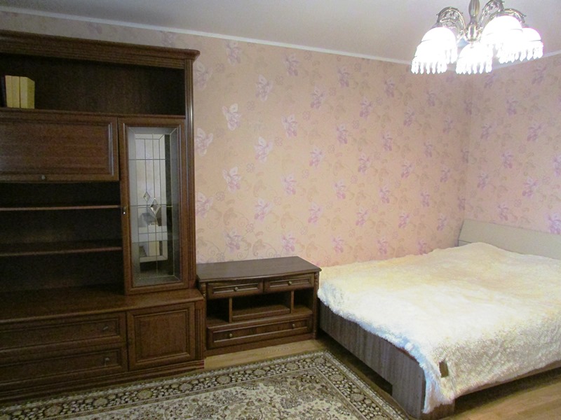1-комнатная квартира Победы 111 в Лазаревском - фото 15